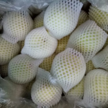 皇冠梨300~350g纸加膜