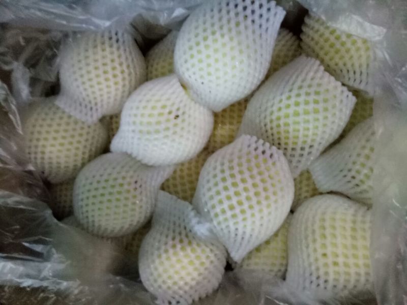 皇冠梨300~350g纸加膜