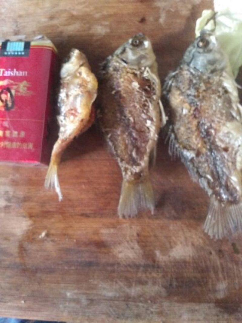 白鲫食用
