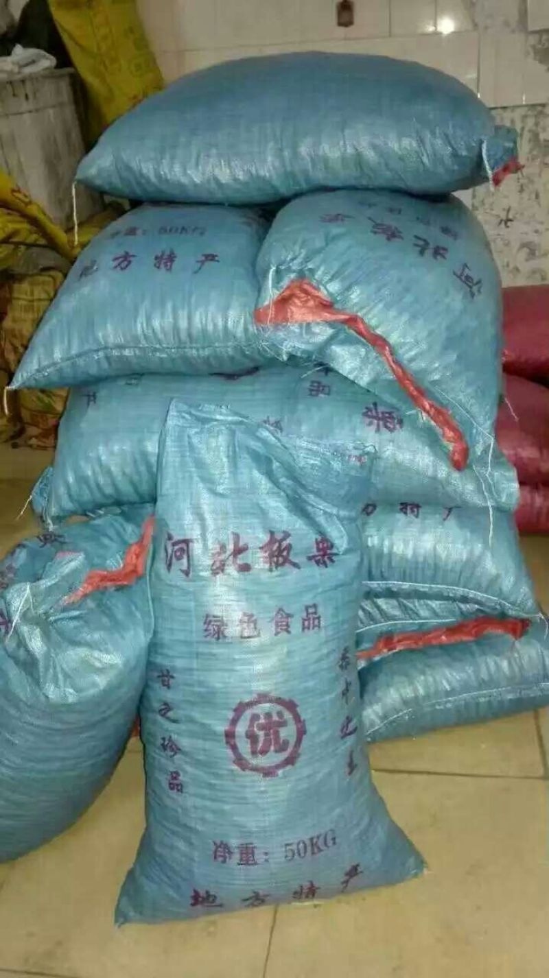 迁西板栗炒栗种中栗
