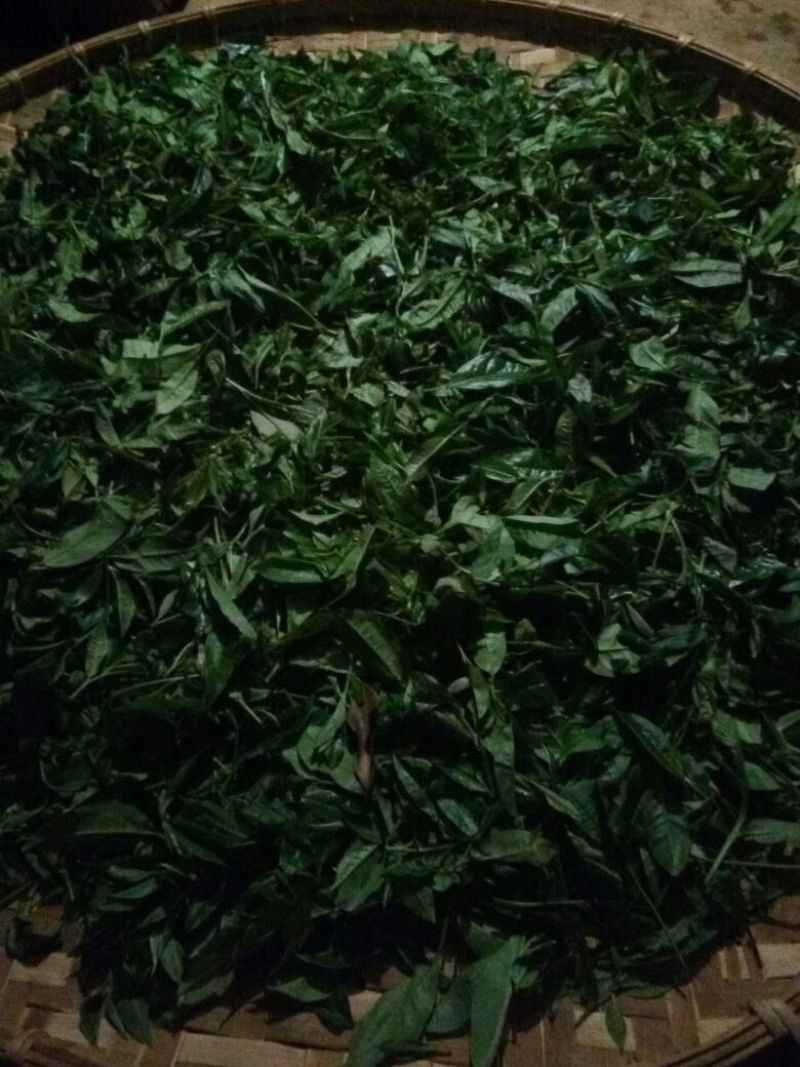 普洱茶散茶
