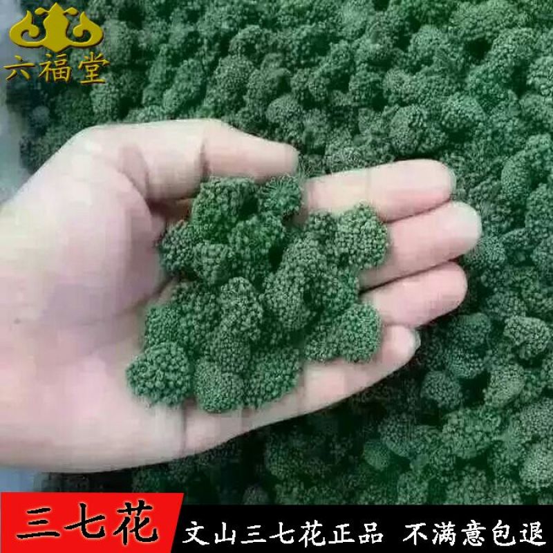 三七花无柄