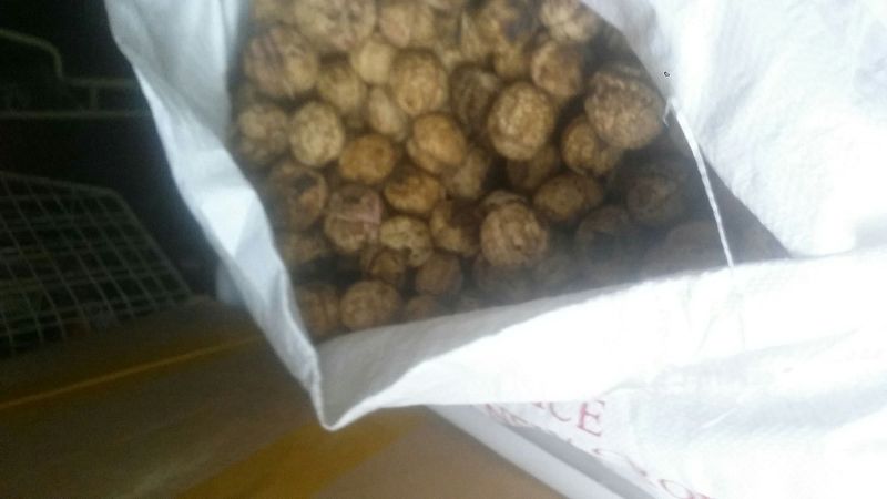 核桃去皮干
