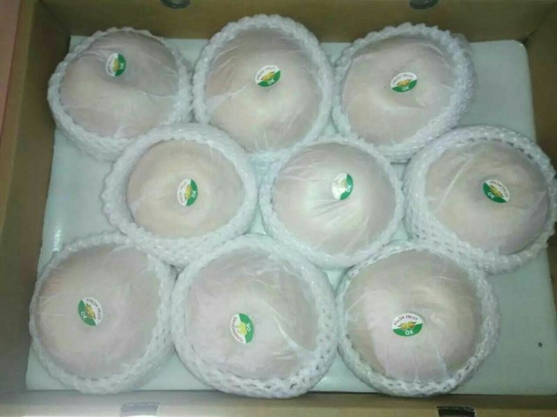 丰水梨250~300g纸袋