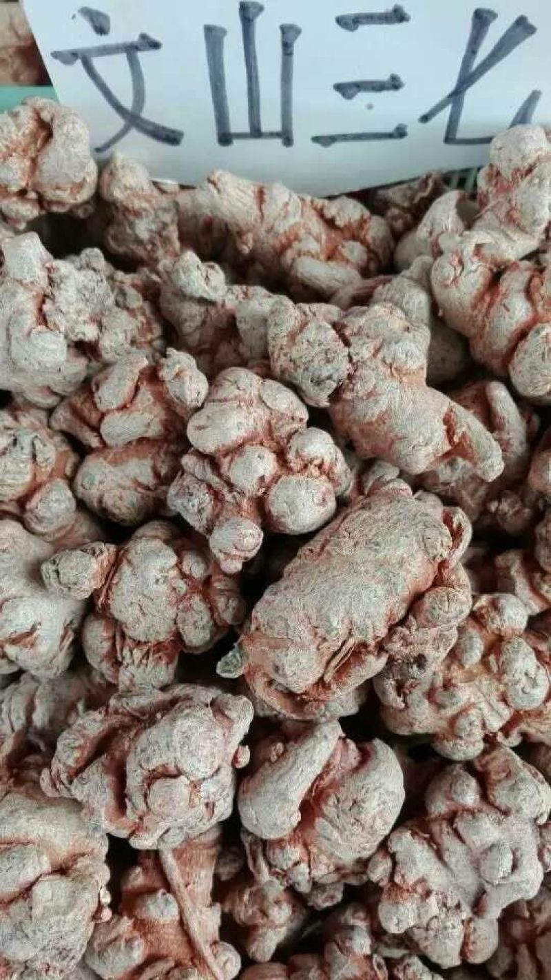 三七精选足40头，文山三七