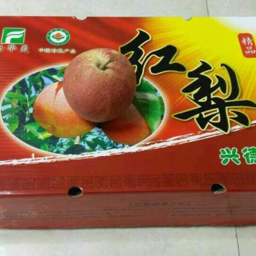 红梨300~350g光果