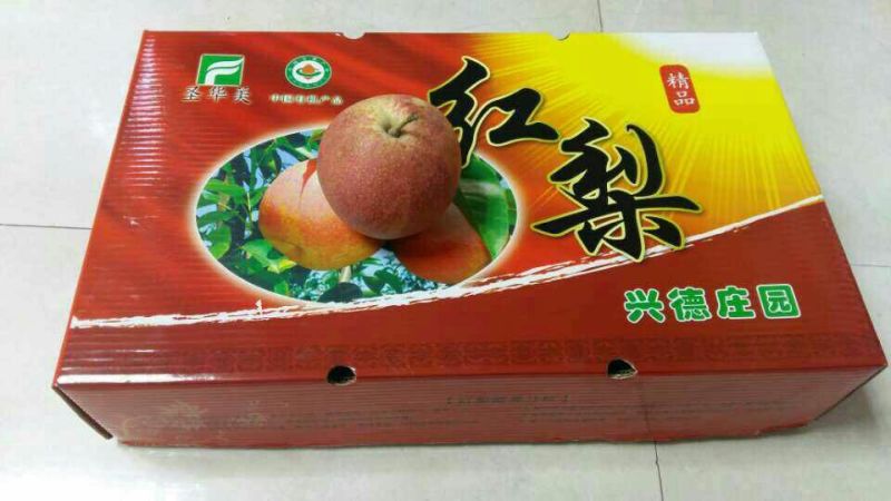 红梨300~350g光果