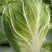 夏邑县青杂三号白菜，1毛3/斤，市场皆可，耐储存，耐运输