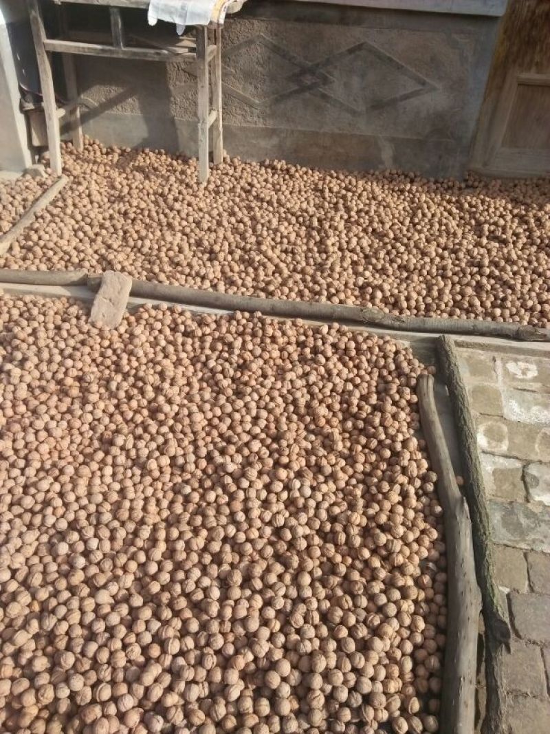 绵核桃25mm以下去皮