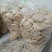 饼干散装