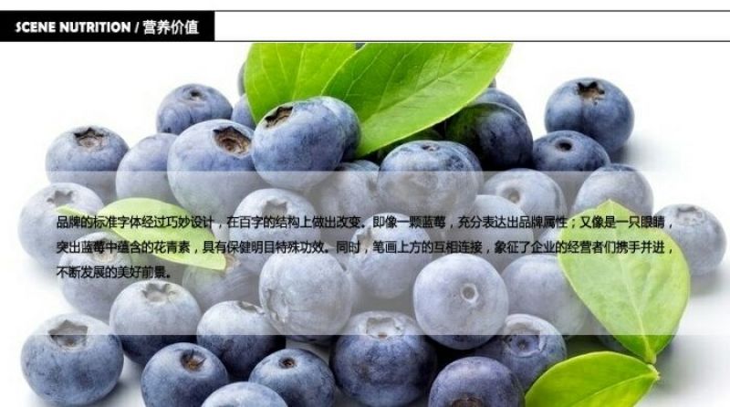 蓝莓8~10mm以上