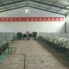 友捷爱宠宠物用品店的一亩田店铺