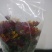 白菊花50~80cm