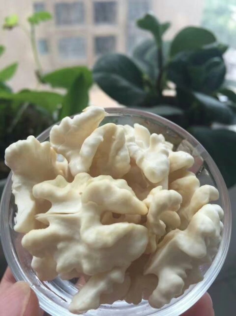 青皮核桃30mm以上去皮