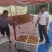 新鲜应季精品露天曙光甜油桃大量上市产地代收一手货源
