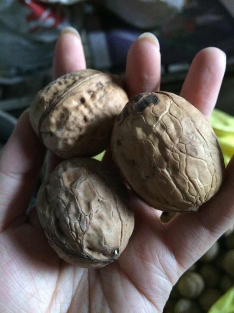 薄皮核桃