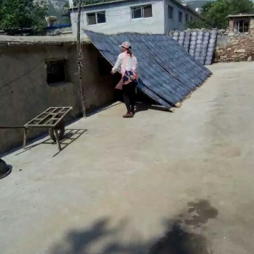 绿豆粉皮