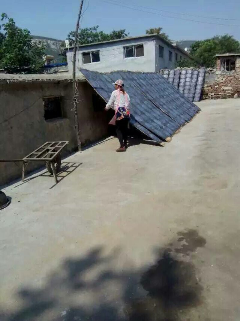 绿豆粉皮