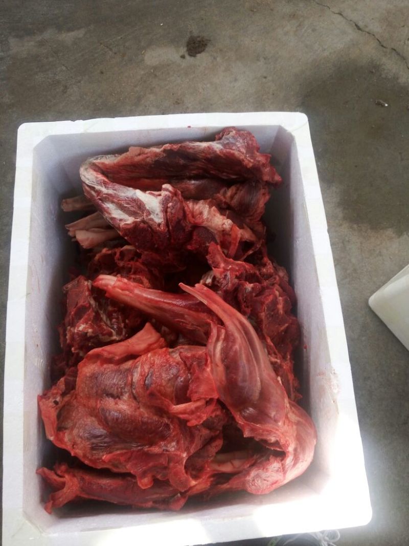 驴肉