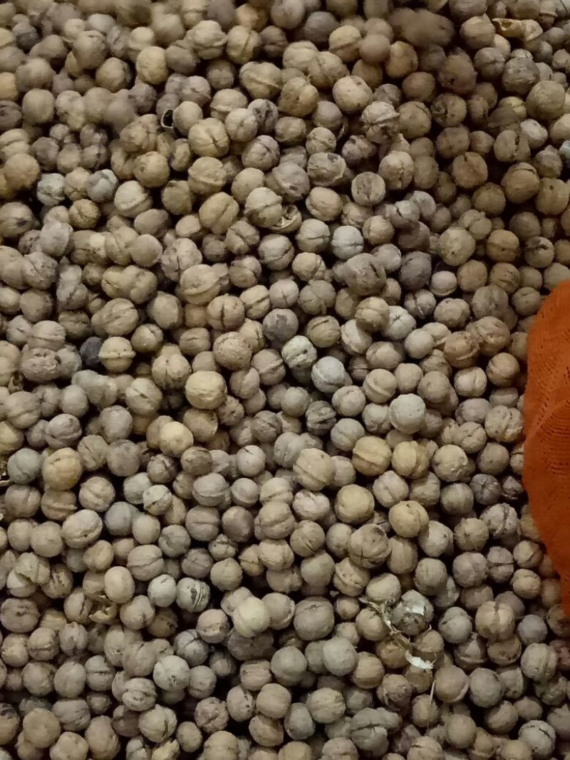 薄皮核桃30mm以上去皮干