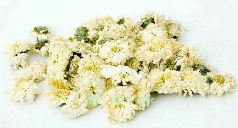 白菊花茶