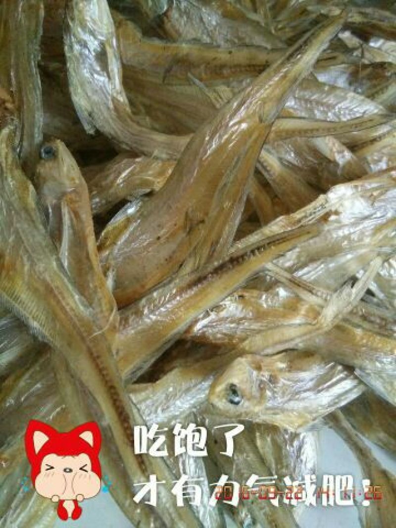 毛花鱼干