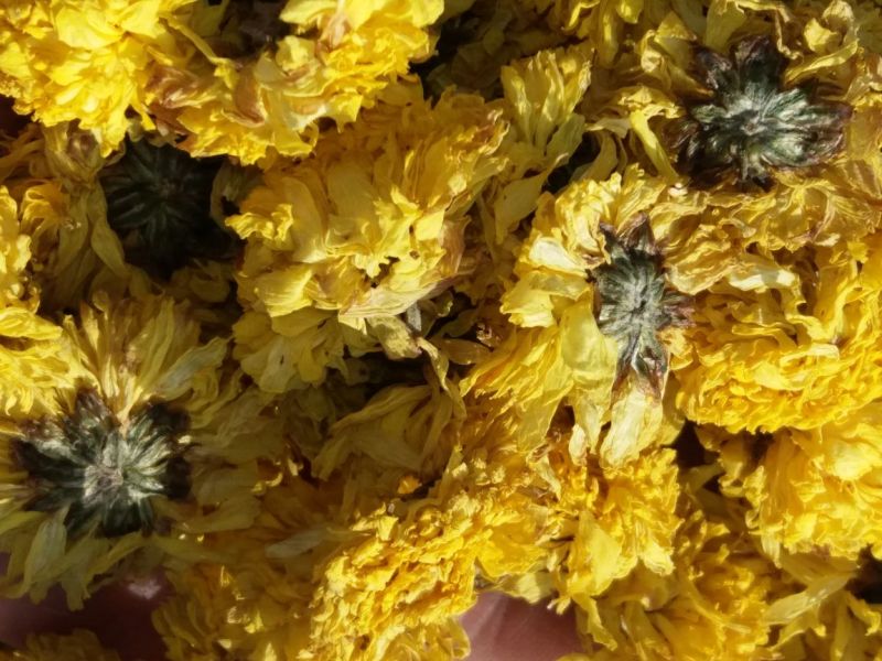 怀菊花袋装
