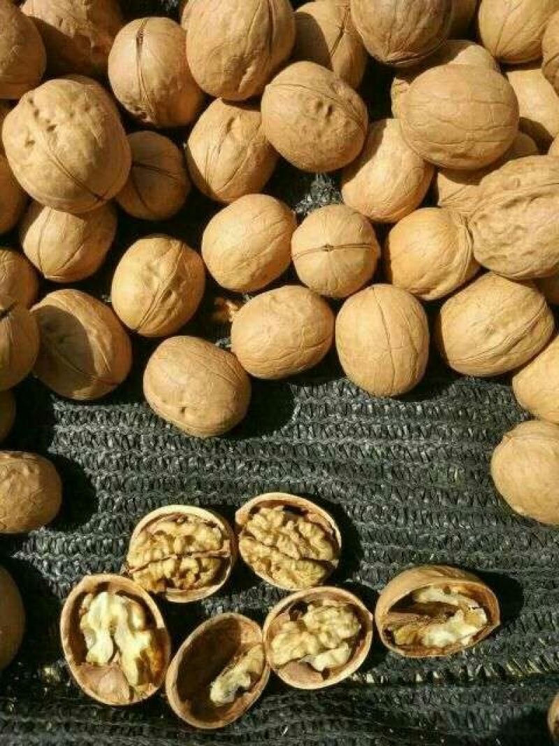 薄皮核桃30mm以上去皮干