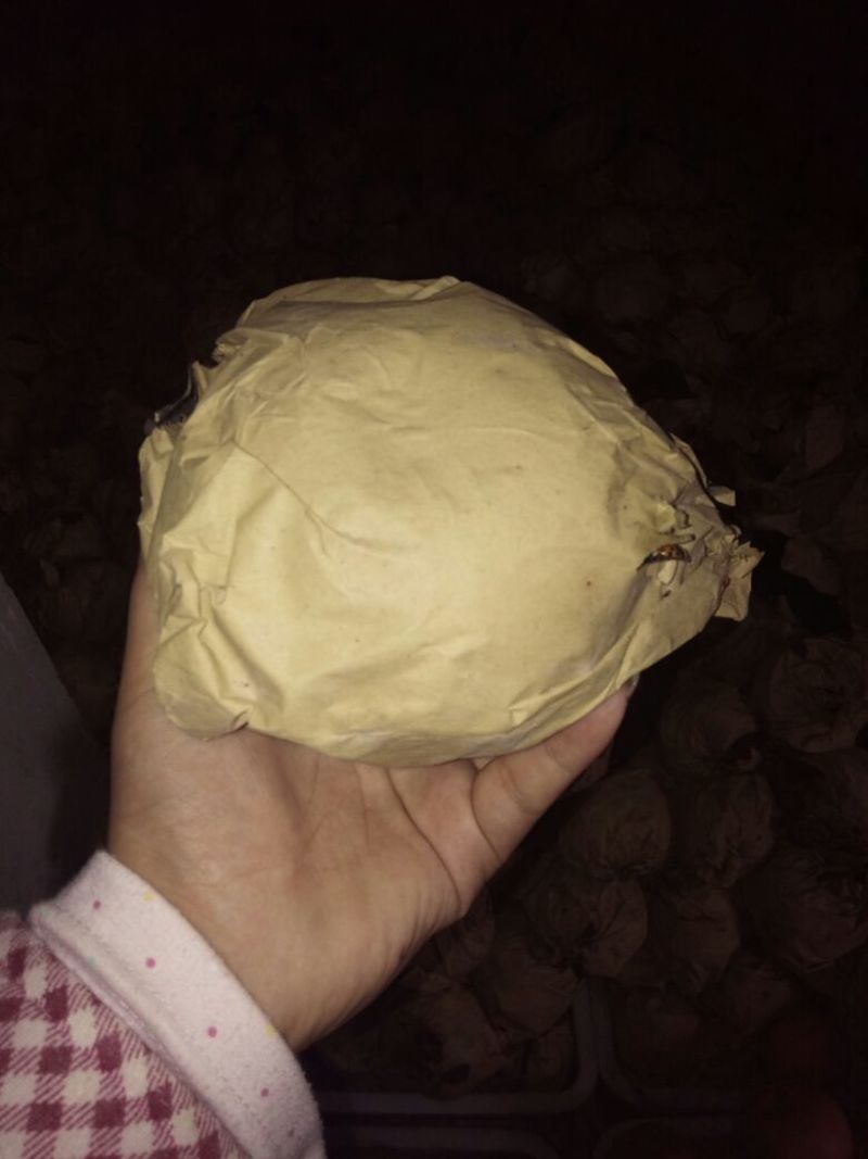 晚秋黄梨550~600g纸袋
