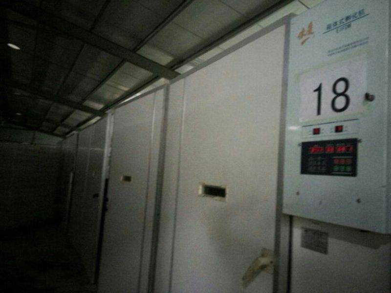 土鸡苗1斤以下