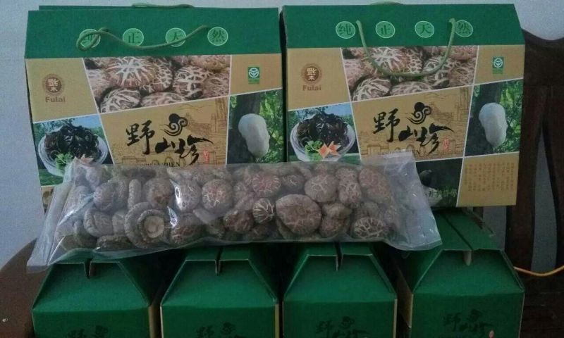 干香菇