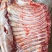 驴肉鲜货