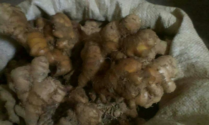 小黄姜4两以上带土