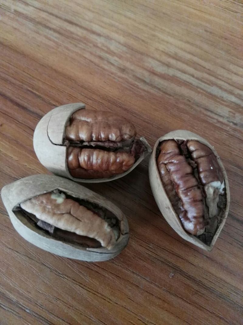 碧根果去皮干