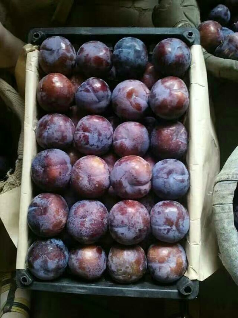 黑宝石
