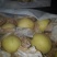 酥梨350~400g筐装