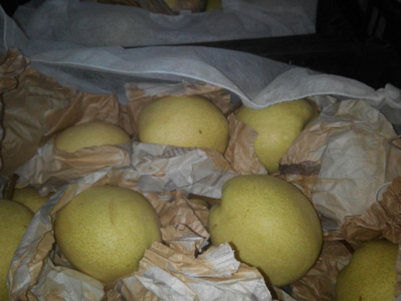 酥梨350~400g筐装