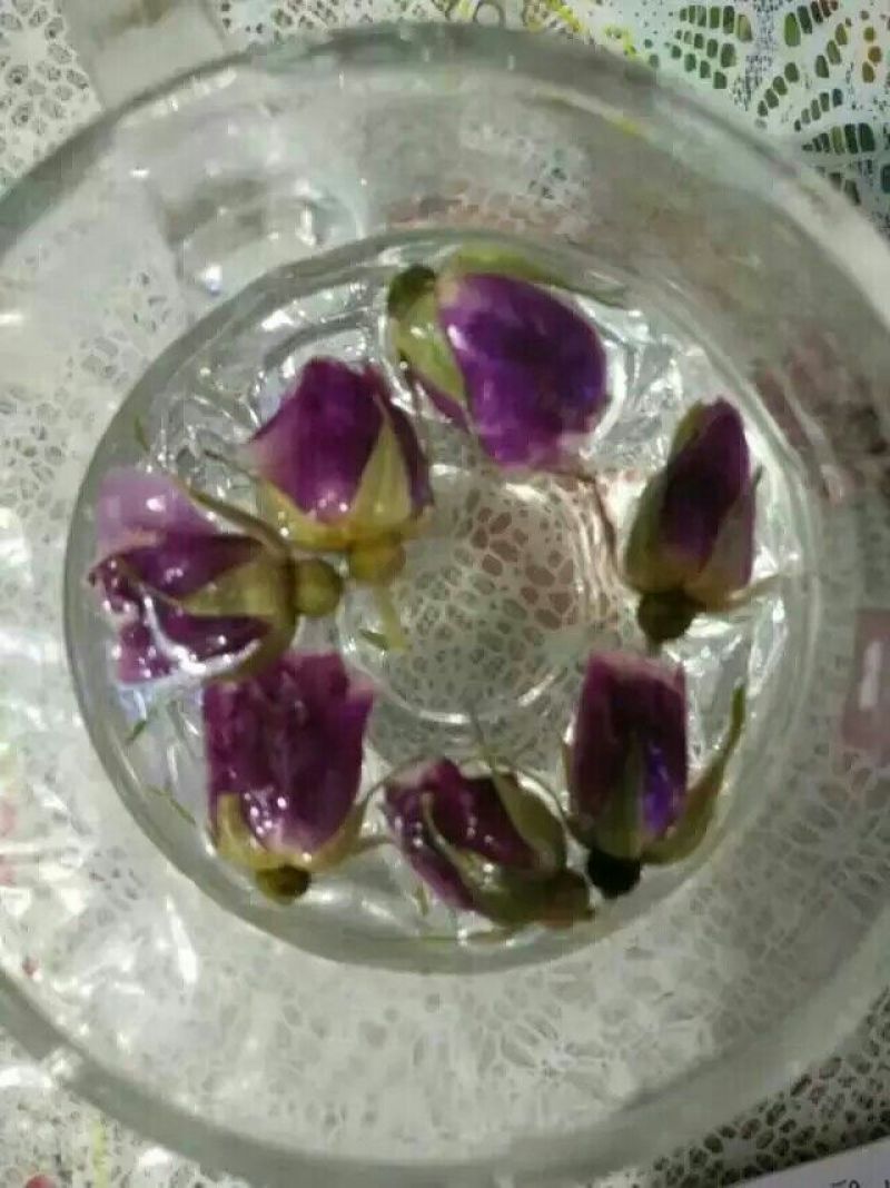 苦水玫瑰