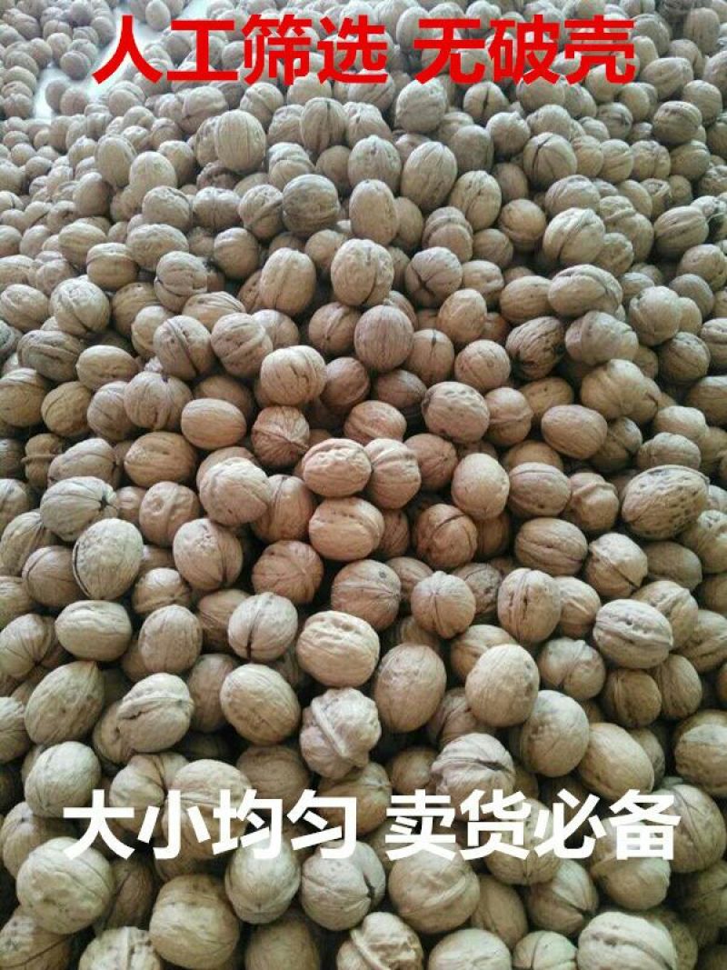 纸皮核桃去皮干