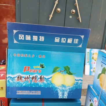 鸭梨膜袋