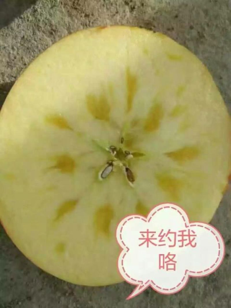 冰糖心苹果70mm以上膜袋