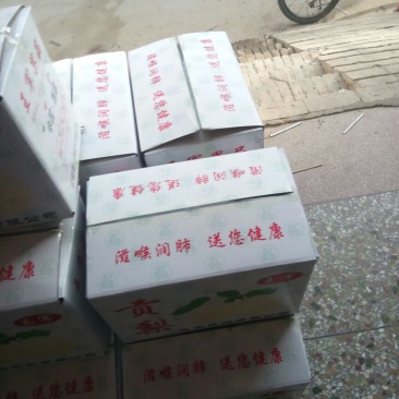 贡梨250~300g纸箱