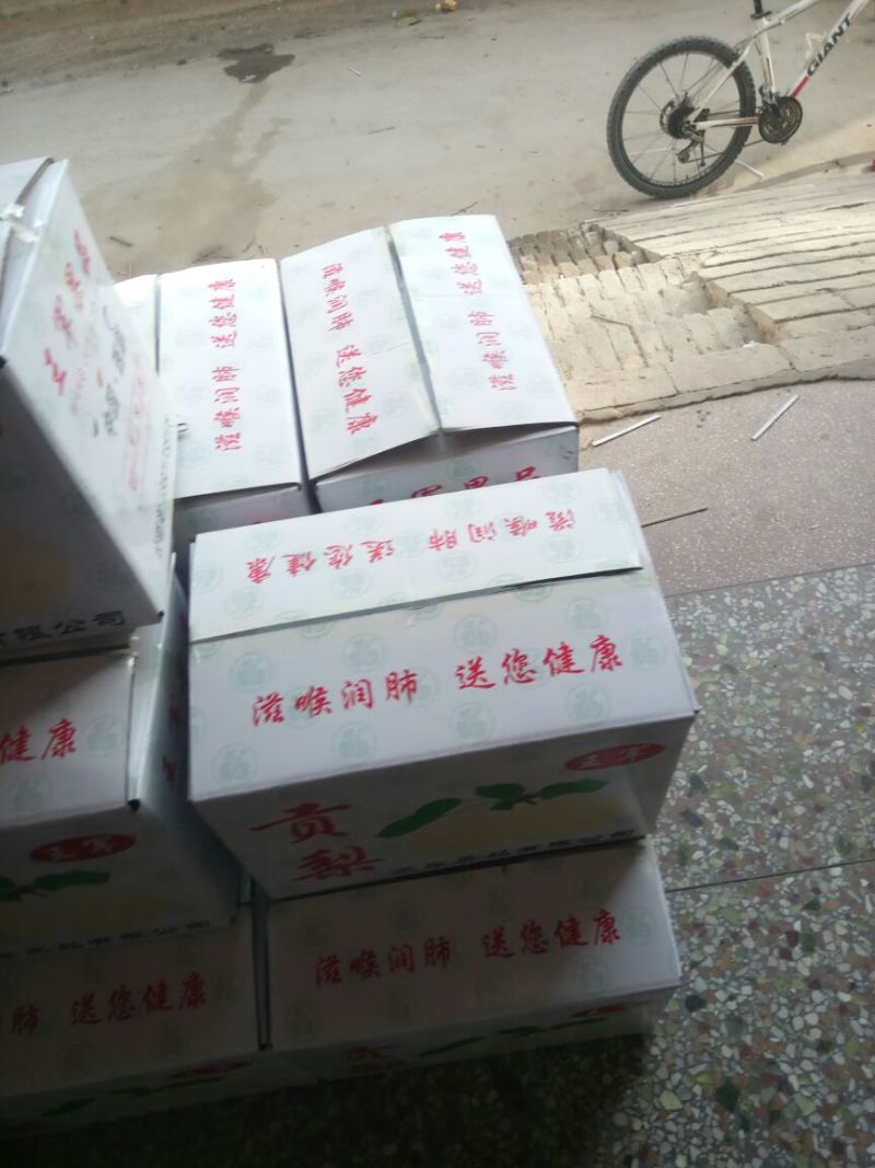 贡梨250~300g纸箱