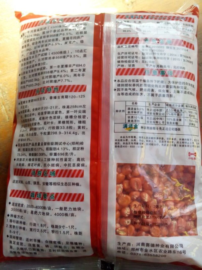 玉米种子
