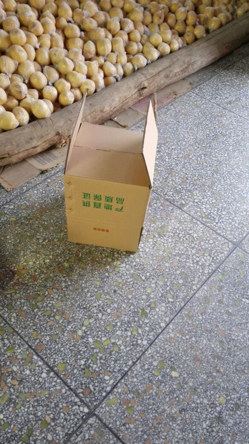 礼泉酥梨