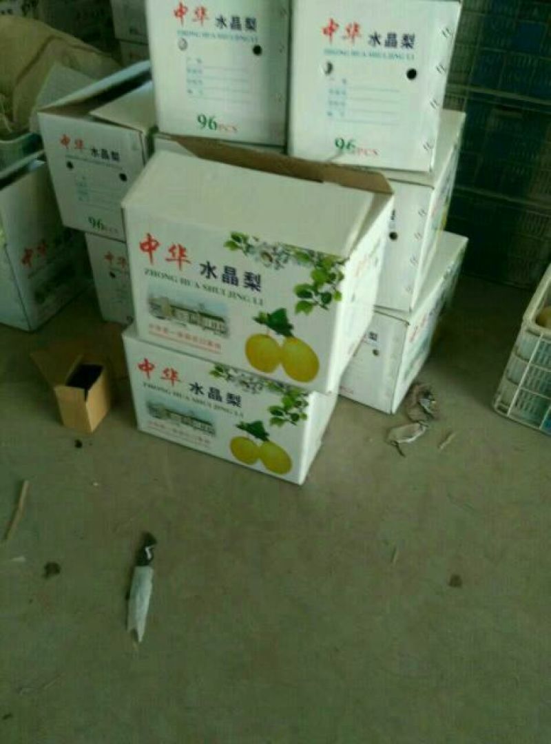 鸭梨150~200g纸袋