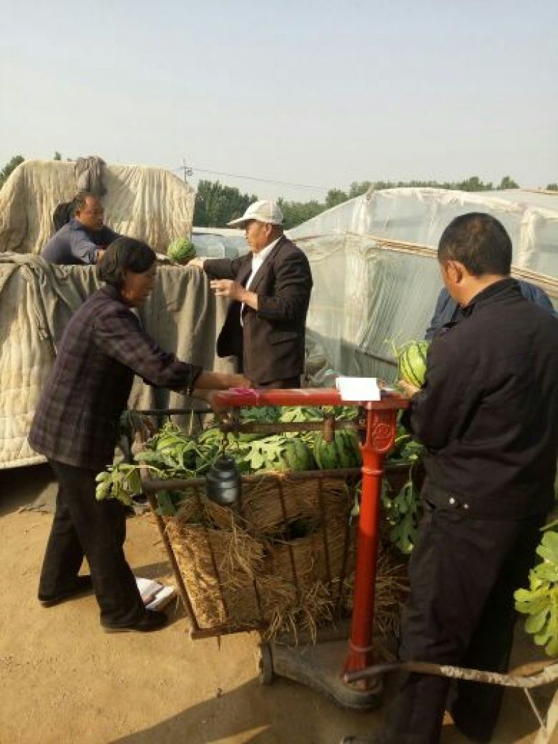 地雷瓜6斤打底8成熟1茬