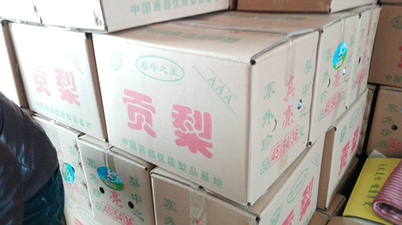 酥梨