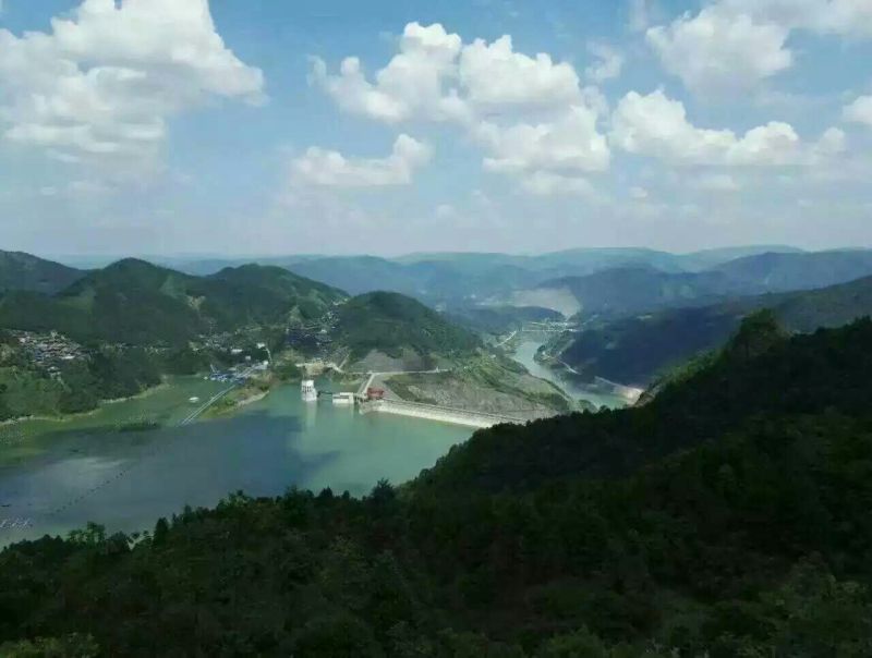 河汊小干鱼