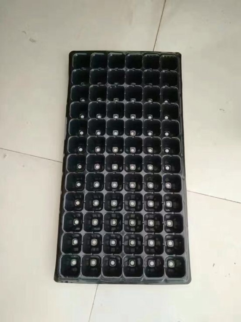 穴盘